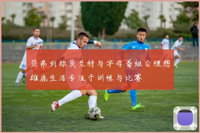 贝弗利称莫兰特与字母哥组合理想雄鹿生活专注于训练与比赛