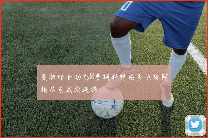 曼联转会动态M费斯科特成重点琼阿梅尼或成新选择