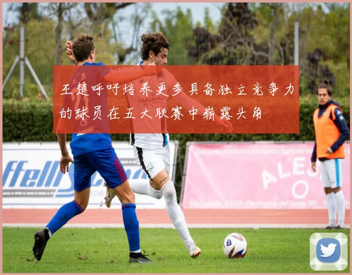 王楚呼吁培养更多具备独立竞争力的球员在五大联赛中崭露头角