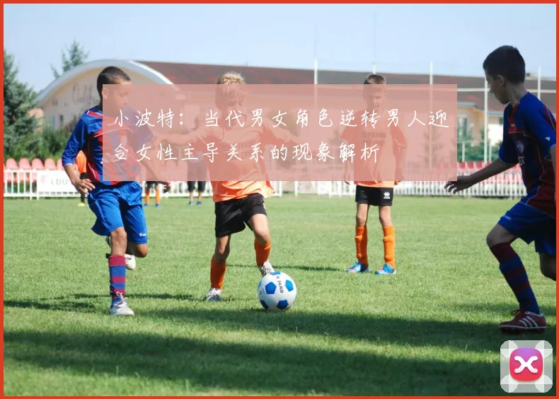 小波特：当代男女角色逆转男人迎合女性主导关系的现象解析